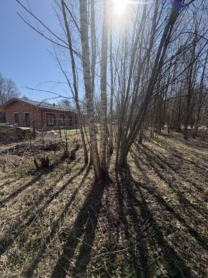 Продам участок 22 соток, ИЖС, Васькино д, 0 км от города