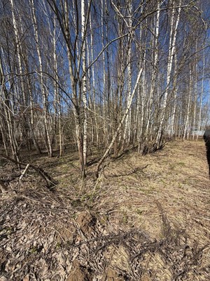 Продам участок 22 соток, ИЖС, Васькино д, 0 км от города