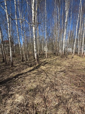 Продам участок 22 соток, ИЖС, Васькино д, 0 км от города