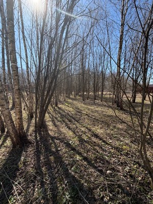 Продам участок 22 соток, ИЖС, Васькино д, 0 км от города