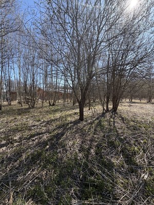 Продам участок 22 соток, ИЖС, Васькино д, 0 км от города