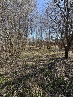 Продам участок 22 соток, ИЖС, Васькино д, 0 км от города