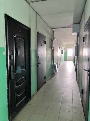 Продам однокомнатную (1-комн.) квартиру, Куликова Поля ул, 31, Российский п