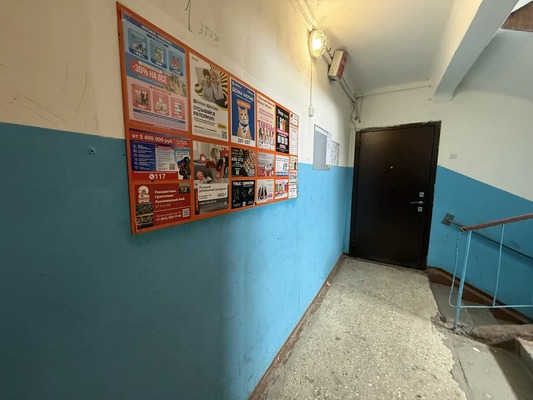 Продам двухкомнатную (2-комн.) квартиру, Антона Петрова ул, 229, Барнаул г