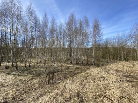 Продам участок 3,5 соток, ИЖС, Кунисниково д, 0 км от города