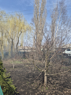 Продам дом, Ленина ул, 159А, Латная рп, 0 км от города