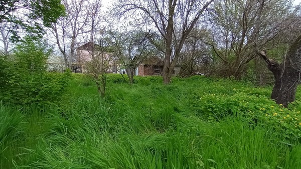 Продам дачу, Активный (Расцвет снт) проезд, Армавир г, 0 км от города