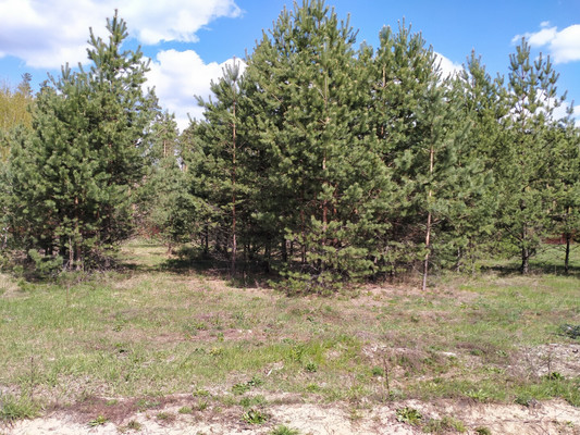 Продам участок 10 соток, ИЖС, Новая ул, Дубровичи с, 0 км от города