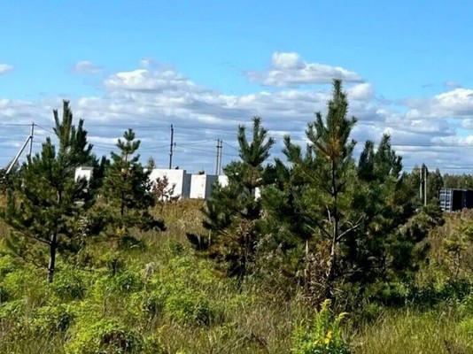 Продам участок 10 соток, ИЖС, Новая ул, Дубровичи с, 0 км от города