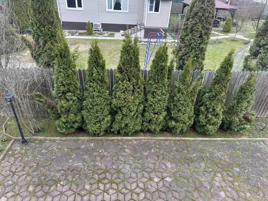 Сдам дом, Афганец тер. СНТ, Мещерское п, 0 км от города