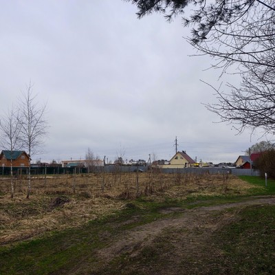 Продам участок 16 соток, Фермерское хоз., Кузнецово д, 0 км от города