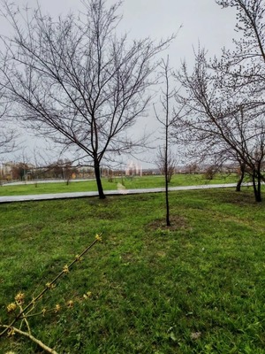 Продам однокомнатную (1-комн.) квартиру, им Батавина П.Ф. ул, 9А, Саратов г