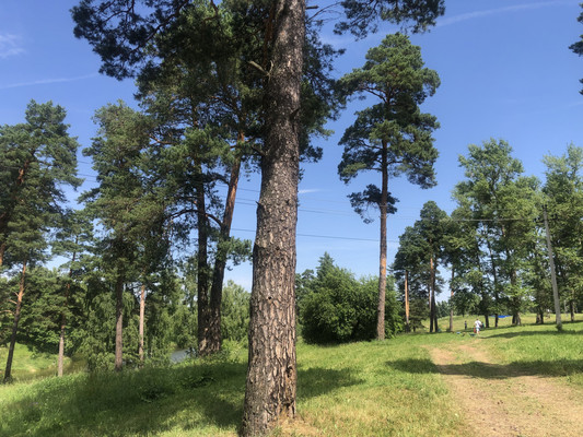 Продам двухкомнатную (2-комн.) квартиру, Центральная ул, 33, Пролетарский рп