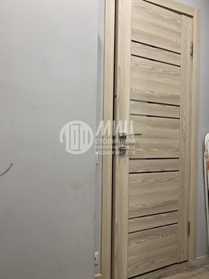 Продам однокомнатную (1-комн.) квартиру, Романовская ул, 19, Глухово д