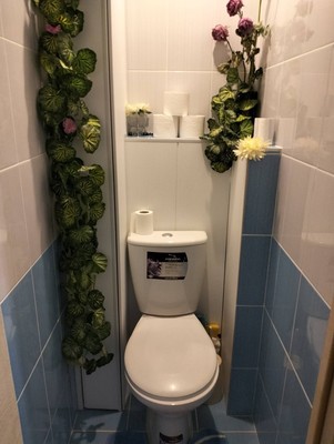 Продам однокомнатную (1-комн.) квартиру, Культуры пр-кт, 25к3, Санкт-Петербург г