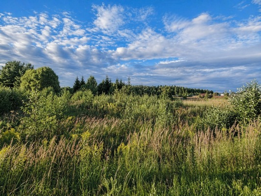 Продам участок 15 соток, ИЖС, Денежниково д, 0 км от города