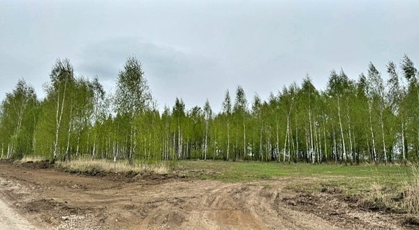 Продам участок 10 соток, ИЖС, Глебово с, 0 км от города