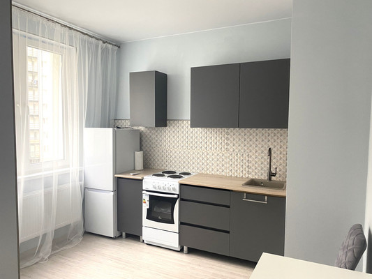 Сдам однокомнатную (1-комн.) квартиру, Старорусский пр-кт, 5к1, Шушары п