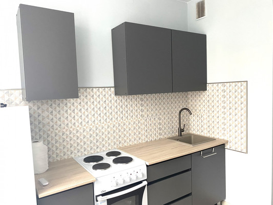 Сдам однокомнатную (1-комн.) квартиру, Старорусский пр-кт, 5к1, Шушары п