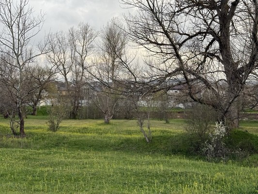 Продам участок 19,2 соток, ИЖС, Казакская ул, Доброе с, 0 км от города