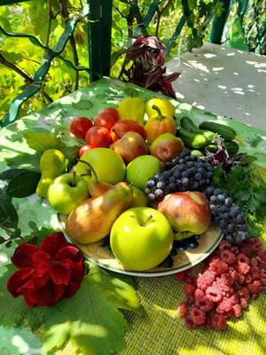 Продам дом, Надежды Сигиды ул, 196, Таганрог г, 1 км от города