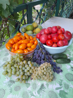 Продам дом, Надежды Сигиды ул, 196, Таганрог г, 1 км от города