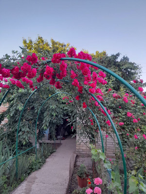 Продам дом, Надежды Сигиды ул, 196, Таганрог г, 1 км от города