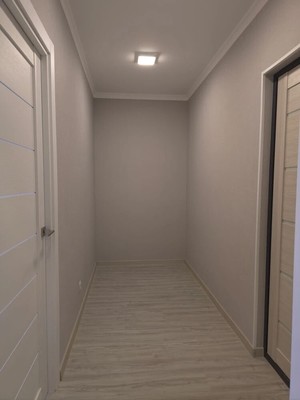 Продам однокомнатную (1-комн.) квартиру, А.К.Толстого ул, 3, Брянск г