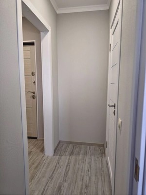 Продам однокомнатную (1-комн.) квартиру, А.К.Толстого ул, 3, Брянск г