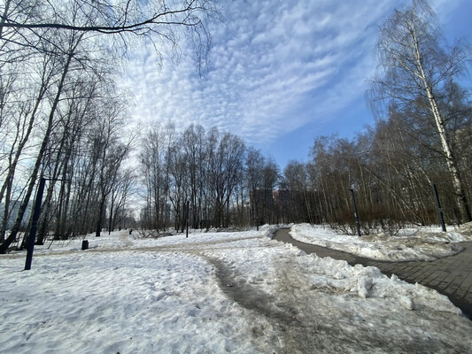 Продам двухкомнатную (2-комн.) квартиру, Скандинавский б-р, 23к1, Сосенское п