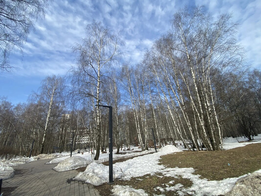 Продам двухкомнатную (2-комн.) квартиру, Скандинавский б-р, 23к1, Сосенское п