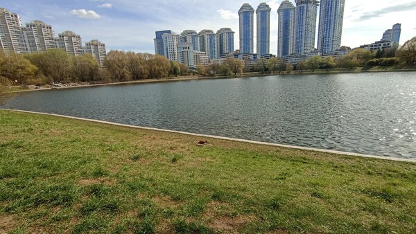 Продам двухкомнатную (2-комн.) квартиру, Улофа Пальме ул, 1, Москва г