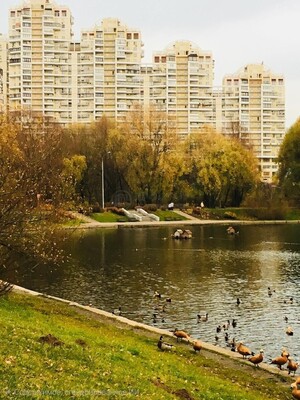 Продам двухкомнатную (2-комн.) квартиру, Улофа Пальме ул, 1, Москва г