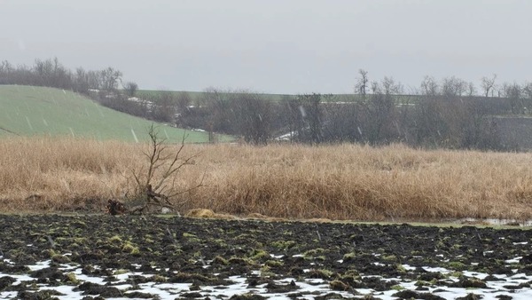 Продам дом, Октябрьская ул, 102, Скобелевская ст-ца, 0 км от города