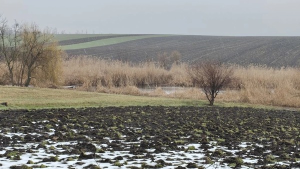 Продам дом, Октябрьская ул, 102, Скобелевская ст-ца, 0 км от города