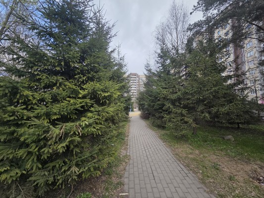 Продам двухкомнатную (2-комн.) квартиру, Малая Балканская ул, 62/25А, Санкт-Петербург г