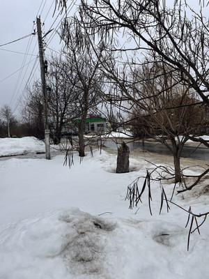 Продам дом, Репненская ул, 53/1, Воронеж г, 0 км от города
