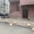 Продам двухкомнатную (2-комн.) квартиру, Карташихина ул, 5, Санкт-Петербург г