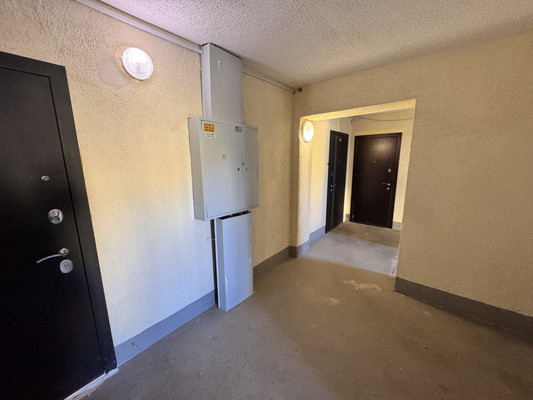 Продам однокомнатную (1-комн.) квартиру, Московское ш, 264, Шушары п