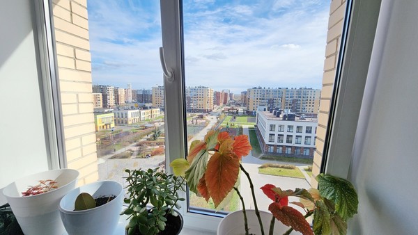 Продам двухкомнатную (2-комн.) квартиру, Питерский пр-кт, 5, Новоселье гп