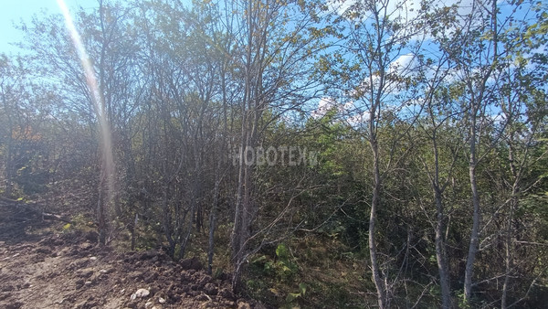 Продам участок 10 соток, ИЖС, Сиуды ул, Нефтегорск пгт, 0 км от города