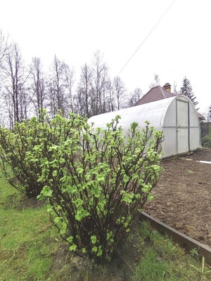 Продам дом, СПК Березки тер, 6, Матвеевское д, 0 км от города