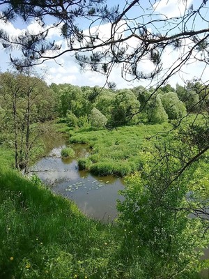 Продам дом, СНТ Каширка тер, 47, Новоселки д, 0 км от города