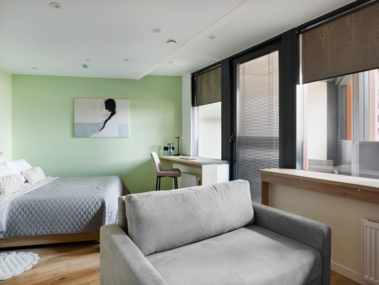 Продам однокомнатную (1-комн.) квартиру, Энергетиков пр-кт, 2к2, Санкт-Петербург г