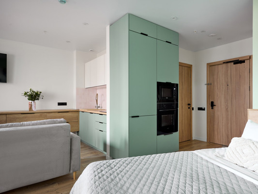 Продам однокомнатную (1-комн.) квартиру, Энергетиков пр-кт, 2к2, Санкт-Петербург г