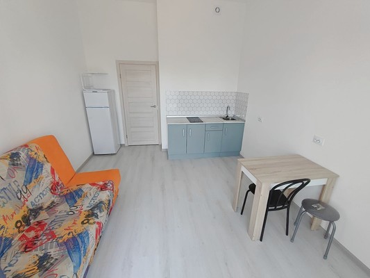 Сдам однокомнатную (1-комн.) квартиру, Дудко ул, 18, Санкт-Петербург г