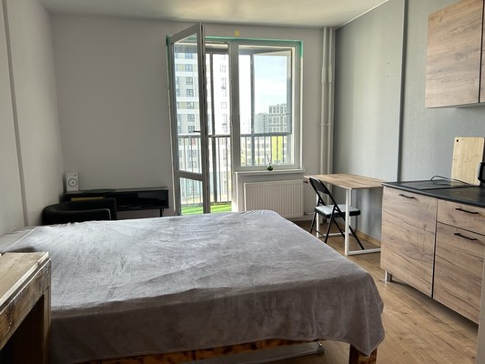 Продам однокомнатную (1-комн.) квартиру, Александра Грина б-р, 3, Санкт-Петербург г