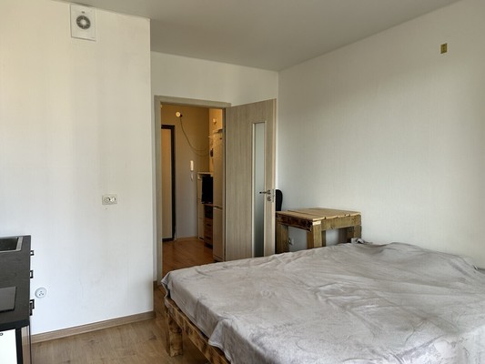 Продам однокомнатную (1-комн.) квартиру, Александра Грина б-р, 3, Санкт-Петербург г