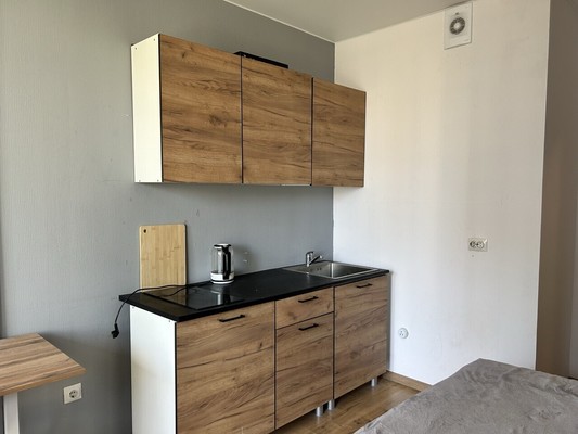 Продам однокомнатную (1-комн.) квартиру, Александра Грина б-р, 3, Санкт-Петербург г