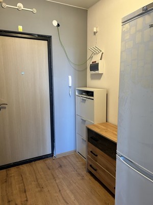 Продам однокомнатную (1-комн.) квартиру, Александра Грина б-р, 3, Санкт-Петербург г